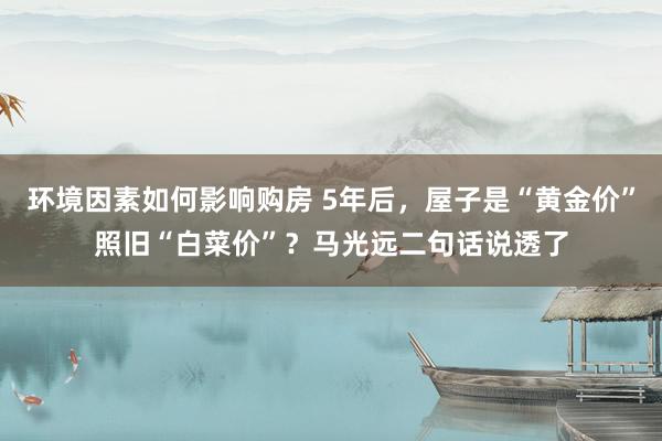 环境因素如何影响购房 5年后，屋子是“黄金价”照旧“白菜价”？马光远二句话说透了