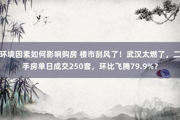 环境因素如何影响购房 楼市刮风了！武汉太燃了，二手房单日成交250套，环比飞腾79.9%？