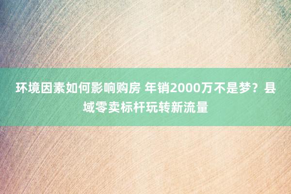 环境因素如何影响购房 年销2000万不是梦？县域零卖标杆玩转新流量