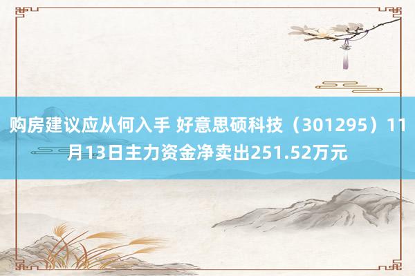 购房建议应从何入手 好意思硕科技（301295）11月13日主力资金净卖出251.52万元