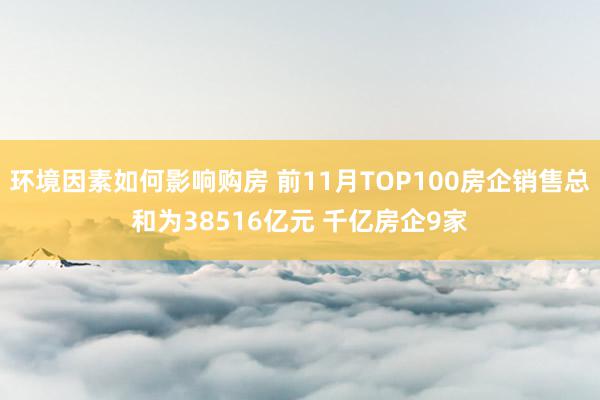 环境因素如何影响购房 前11月TOP100房企销售总和为38516亿元 千亿房企9家