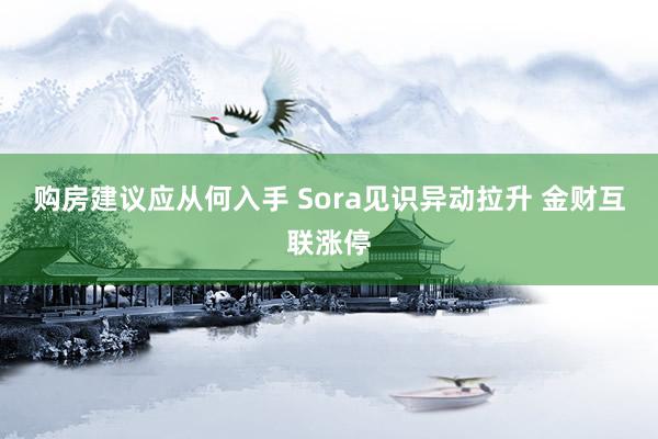 购房建议应从何入手 Sora见识异动拉升 金财互联涨停