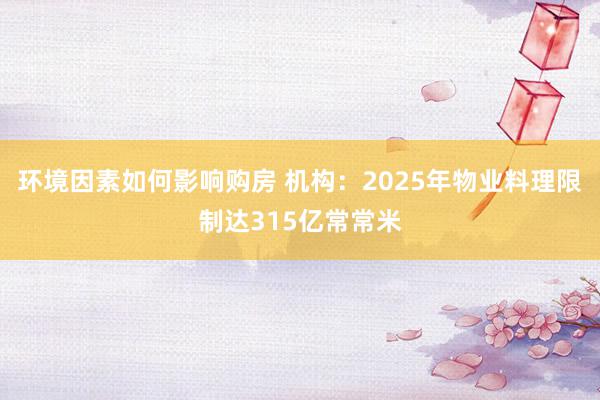 环境因素如何影响购房 机构：2025年物业料理限制达315亿常常米