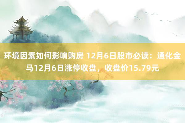 环境因素如何影响购房 12月6日股市必读：通化金马12月6日涨停收盘，收盘价15.79元