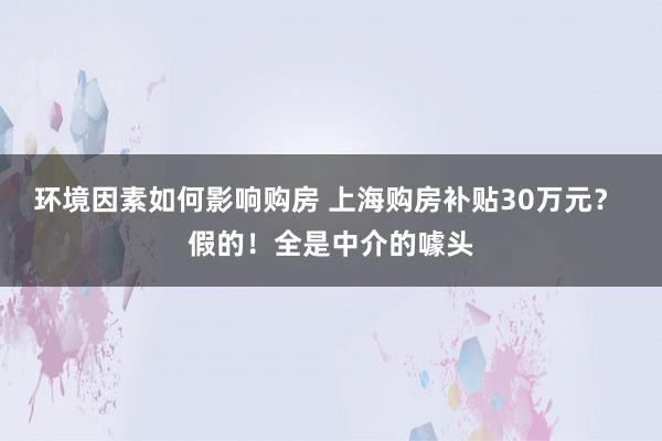 环境因素如何影响购房 上海购房补贴30万元？ 假的！全是中介的噱头