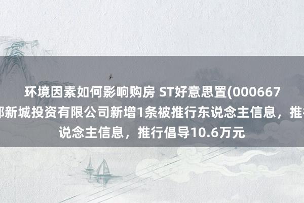 环境因素如何影响购房 ST好意思置(000667)控股的武汉南部新城投资有限公司新增1条被推行东说念主信息，推行倡导10.6万元