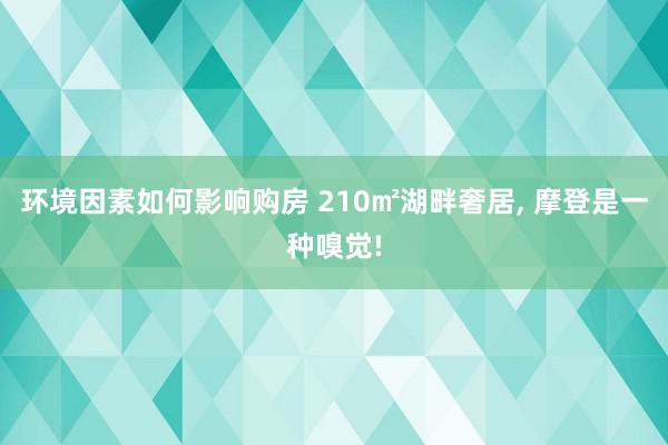 环境因素如何影响购房 210㎡湖畔奢居, 摩登是一种嗅觉!