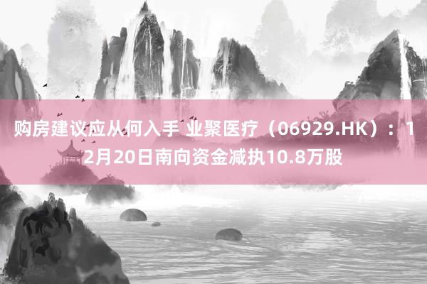 购房建议应从何入手 业聚医疗（06929.HK）：12月20日南向资金减执10.8万股