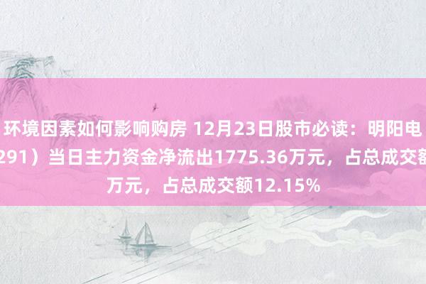 环境因素如何影响购房 12月23日股市必读：明阳电气（301291）当日主力资金净流出1775.36万元，占总成交额12.15%