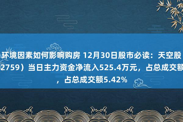 环境因素如何影响购房 12月30日股市必读：天空股份（002759）当日主力资金净流入525.4万元，占总成交额5.42%