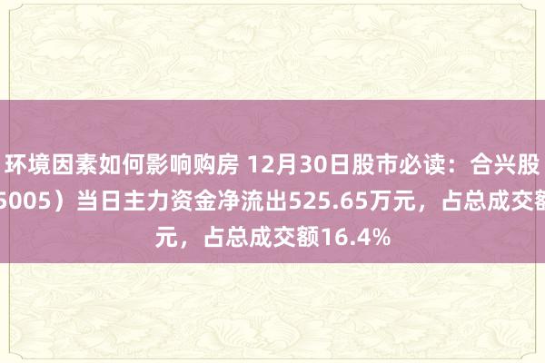 环境因素如何影响购房 12月30日股市必读：合兴股份（605005）当日主力资金净流出525.65万元，占总成交额16.4%