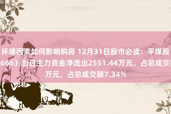 环境因素如何影响购房 12月31日股市必读：平煤股份（601666）当日主力资金净流出2551.44万元，占总成交额7.34%