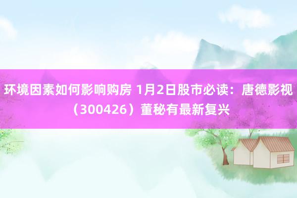 环境因素如何影响购房 1月2日股市必读：唐德影视（300426）董秘有最新复兴