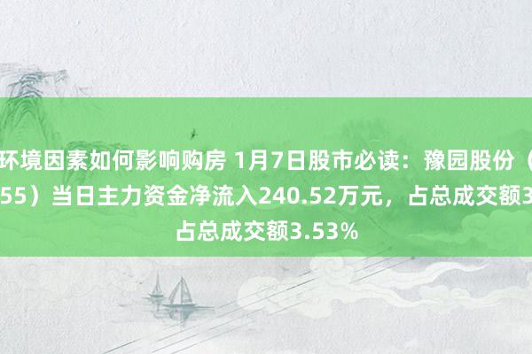 环境因素如何影响购房 1月7日股市必读：豫园股份（600655）当日主力资金净流入240.52万元，占总成交额3.53%