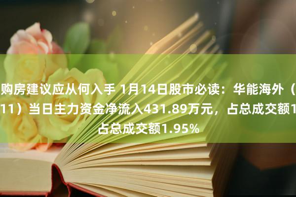 购房建议应从何入手 1月14日股市必读：华能海外（600011）当日主力资金净流入431.89万元，占总成交额1.95%