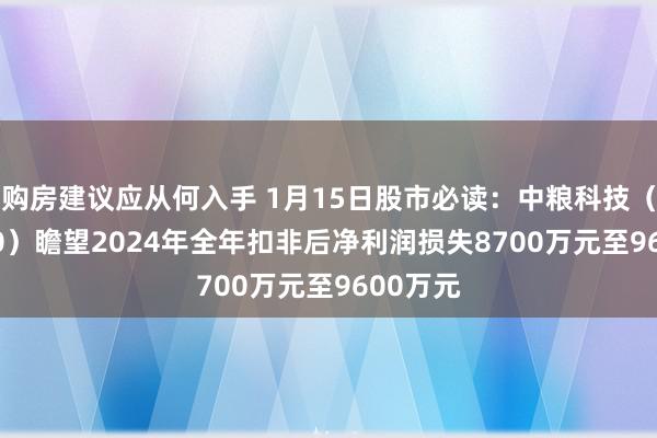 购房建议应从何入手 1月15日股市必读：中粮科技（000930）瞻望2024年全年扣非后净利润损失8700万元至9600万元