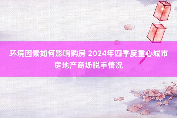 环境因素如何影响购房 2024年四季度重心城市房地产商场脱手情况