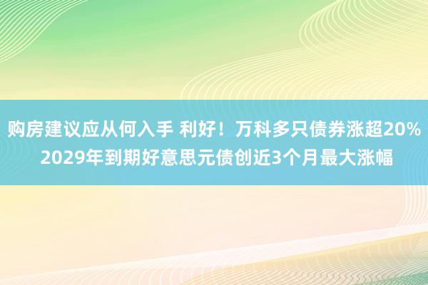 购房建议应从何入手 利好！万科多只债券涨超20% 2029年到期好意思元债创近3个月最大涨幅