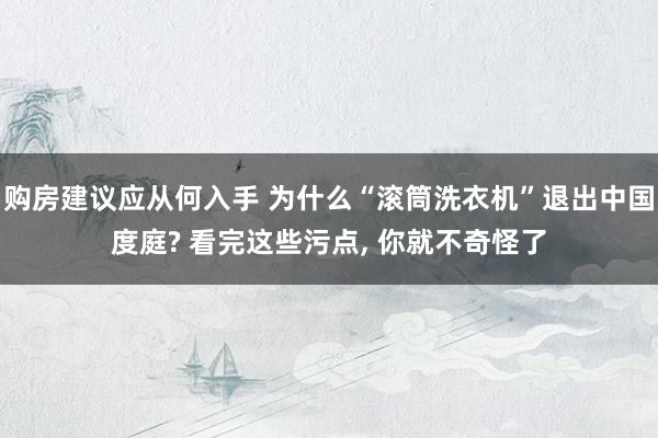 购房建议应从何入手 为什么“滚筒洗衣机”退出中国度庭? 看完这些污点, 你就不奇怪了