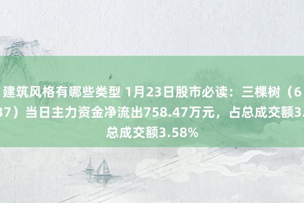 建筑风格有哪些类型 1月23日股市必读：三棵树（603737）当日主力资金净流出758.47万元，占总成交额3.58%