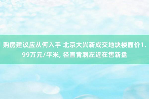 购房建议应从何入手 北京大兴新成交地块楼面价1.99万元/平米, 径直背刺左近在售新盘