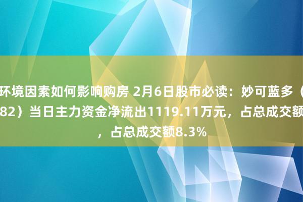 环境因素如何影响购房 2月6日股市必读：妙可蓝多（600882）当日主力资金净流出1119.11万元，占总成交额8.3%