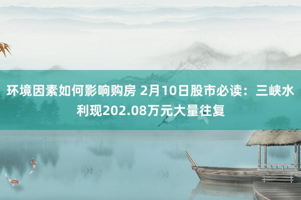 环境因素如何影响购房 2月10日股市必读：三峡水利现202.08万元大量往复