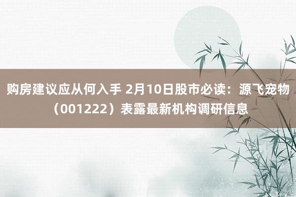 购房建议应从何入手 2月10日股市必读：源飞宠物（001222）表露最新机构调研信息