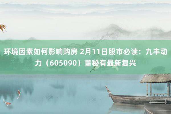 环境因素如何影响购房 2月11日股市必读：九丰动力（605090）董秘有最新复兴