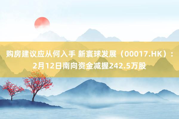 购房建议应从何入手 新寰球发展（00017.HK）：2月12日南向资金减握242.5万股