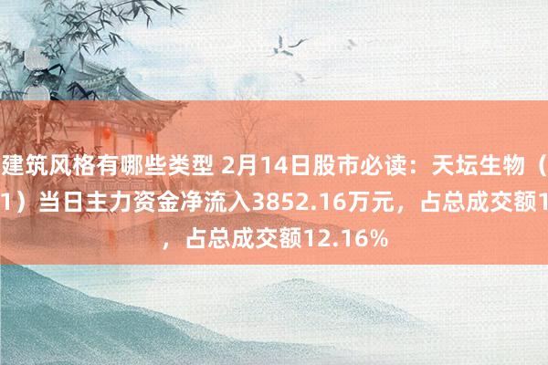 建筑风格有哪些类型 2月14日股市必读：天坛生物（600161）当日主力资金净流入3852.16万元，占总成交额12.16%