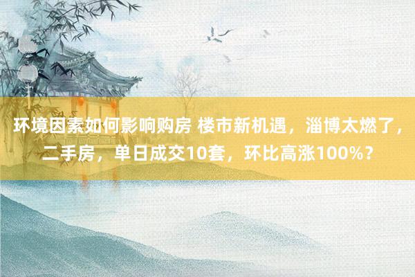 环境因素如何影响购房 楼市新机遇，淄博太燃了，二手房，单日成交10套，环比高涨100%？