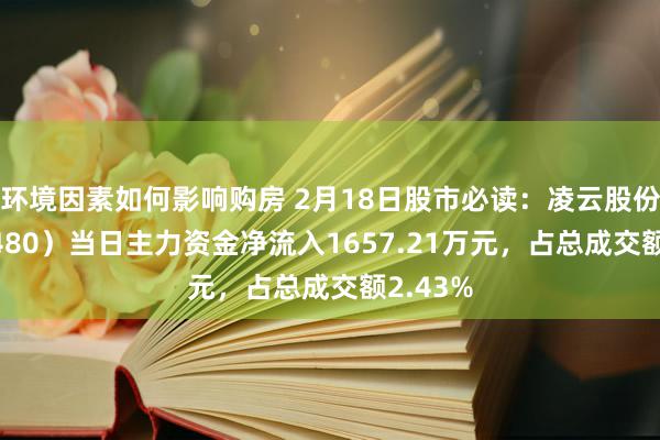 环境因素如何影响购房 2月18日股市必读：凌云股份（600480）当日主力资金净流入1657.21万元，占总成交额2.43%