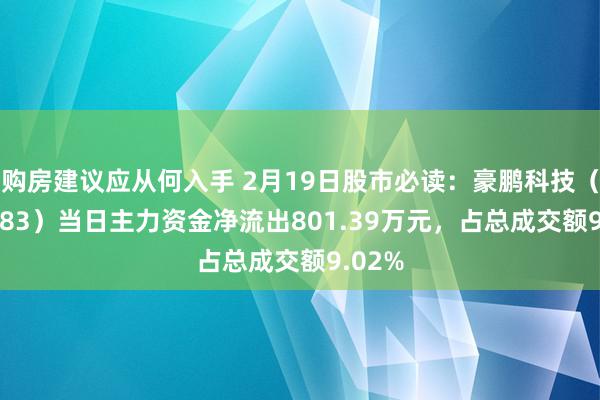 购房建议应从何入手 2月19日股市必读：豪鹏科技（001283）当日主力资金净流出801.39万元，占总成交额9.02%