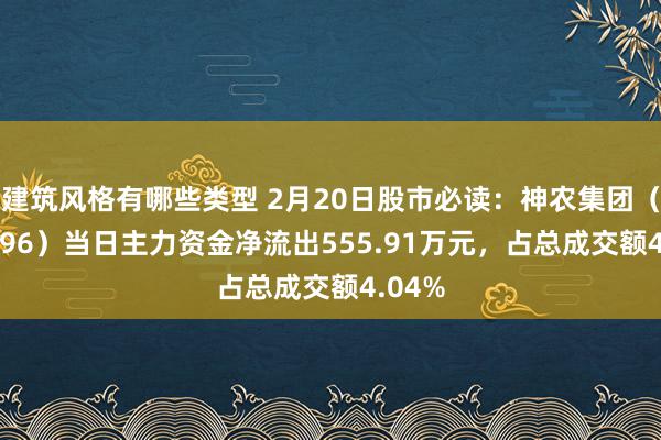 建筑风格有哪些类型 2月20日股市必读：神农集团（605296）当日主力资金净流出555.91万元，占总成交额4.04%