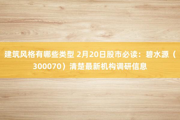 建筑风格有哪些类型 2月20日股市必读：碧水源（300070）清楚最新机构调研信息