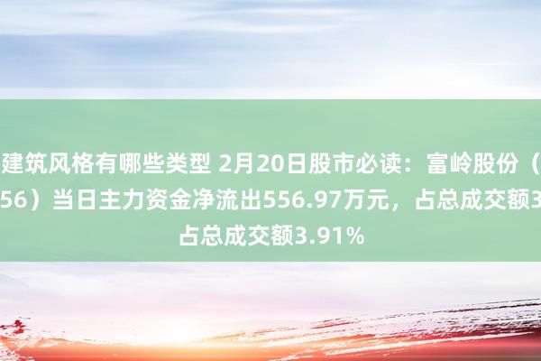 建筑风格有哪些类型 2月20日股市必读：富岭股份（001356）当日主力资金净流出556.97万元，占总成交额3.91%