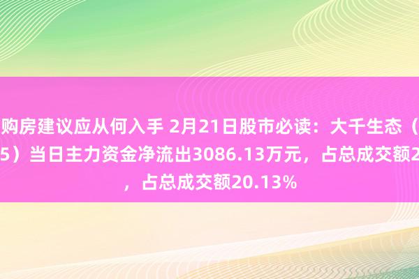 购房建议应从何入手 2月21日股市必读：大千生态（603955）当日主力资金净流出3086.13万元，占总成交额20.13%