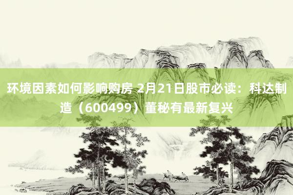 环境因素如何影响购房 2月21日股市必读：科达制造（600499）董秘有最新复兴