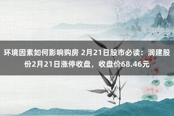 环境因素如何影响购房 2月21日股市必读：润建股份2月21日涨停收盘，收盘价68.46元