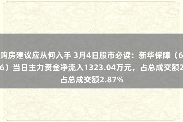 购房建议应从何入手 3月4日股市必读：新华保障（601336）当日主力资金净流入1323.04万元，占总成交额2.87%