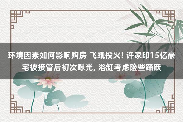 环境因素如何影响购房 飞蛾投火! 许家印15亿豪宅被接管后初次曝光, 浴缸考虑险些踊跃