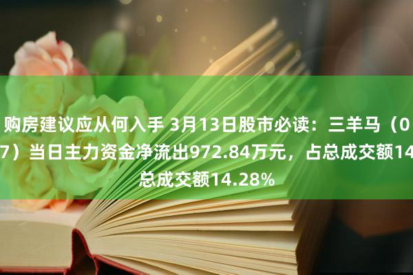 购房建议应从何入手 3月13日股市必读：三羊马（001317）当日主力资金净流出972.84万元，占总成交额14.28%